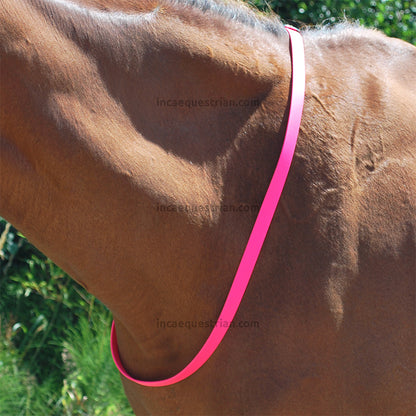 Neck strap