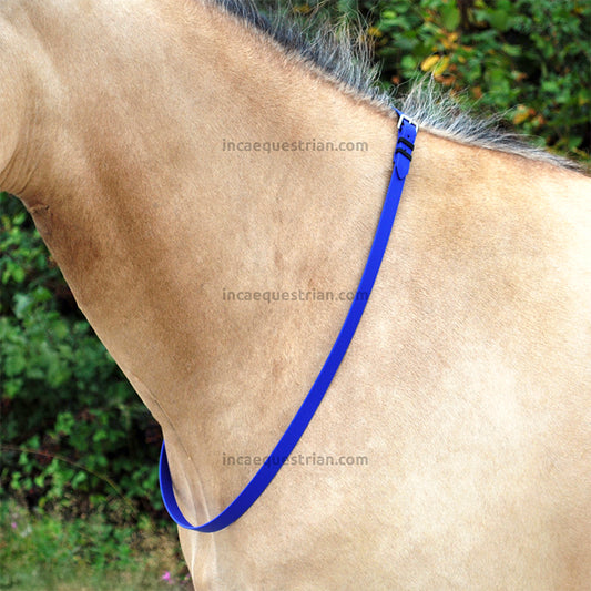 Neck strap