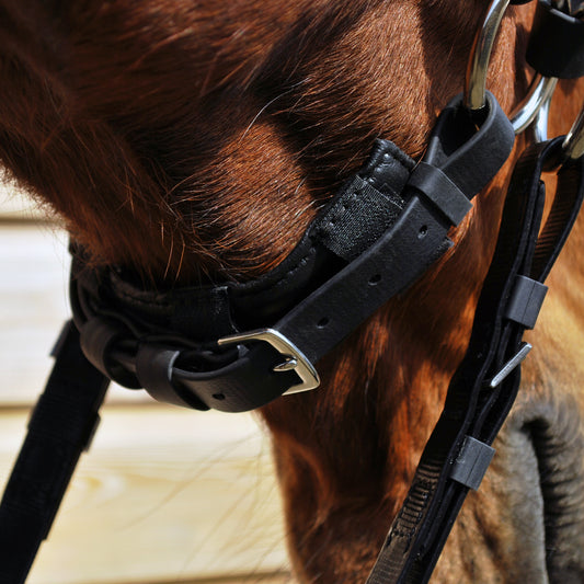 GEL-Lite noseband/bridle pad