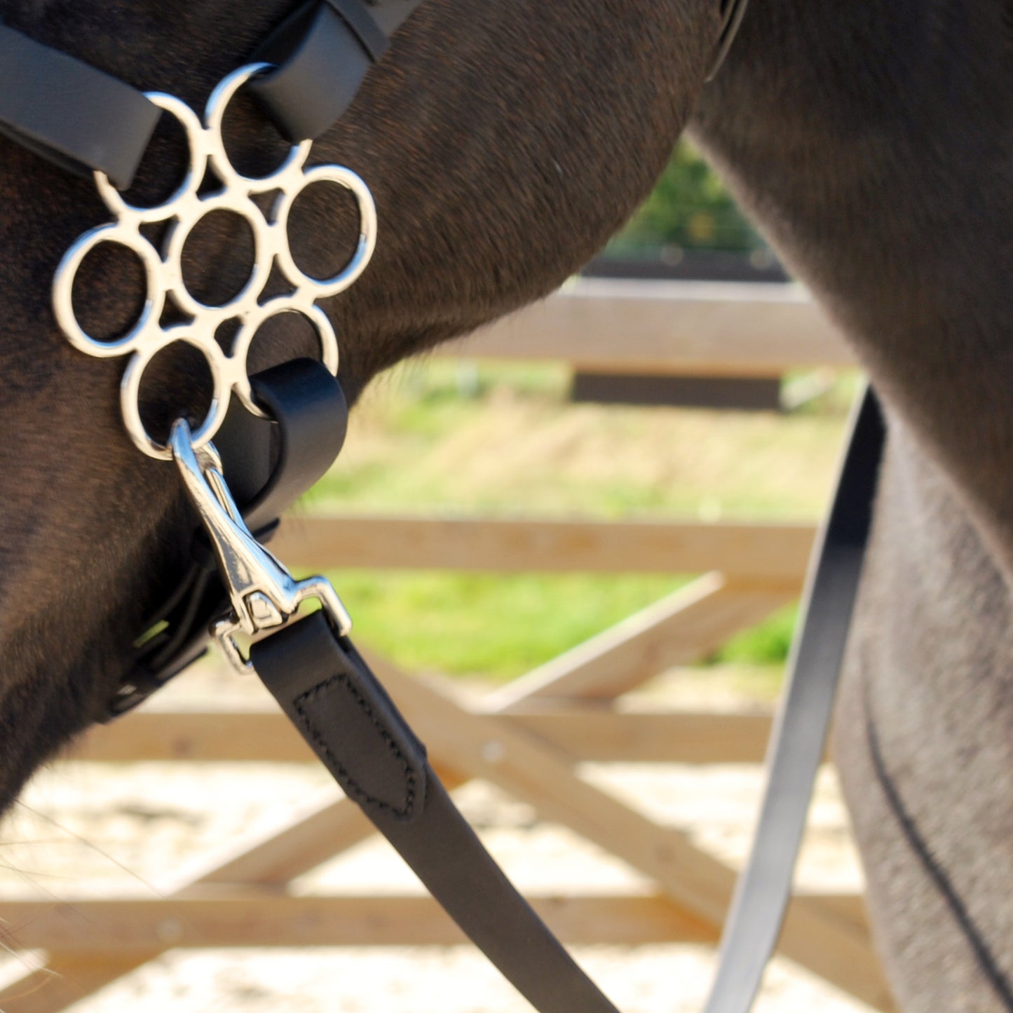 BioThane reins (custom order)