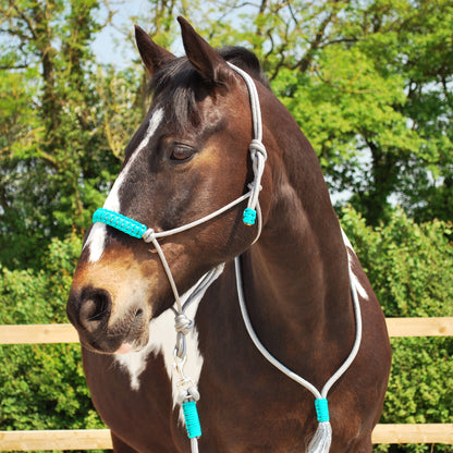 Rope halter and lead set (custom order)