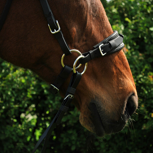 BioThane sidepull noseband (custom order)