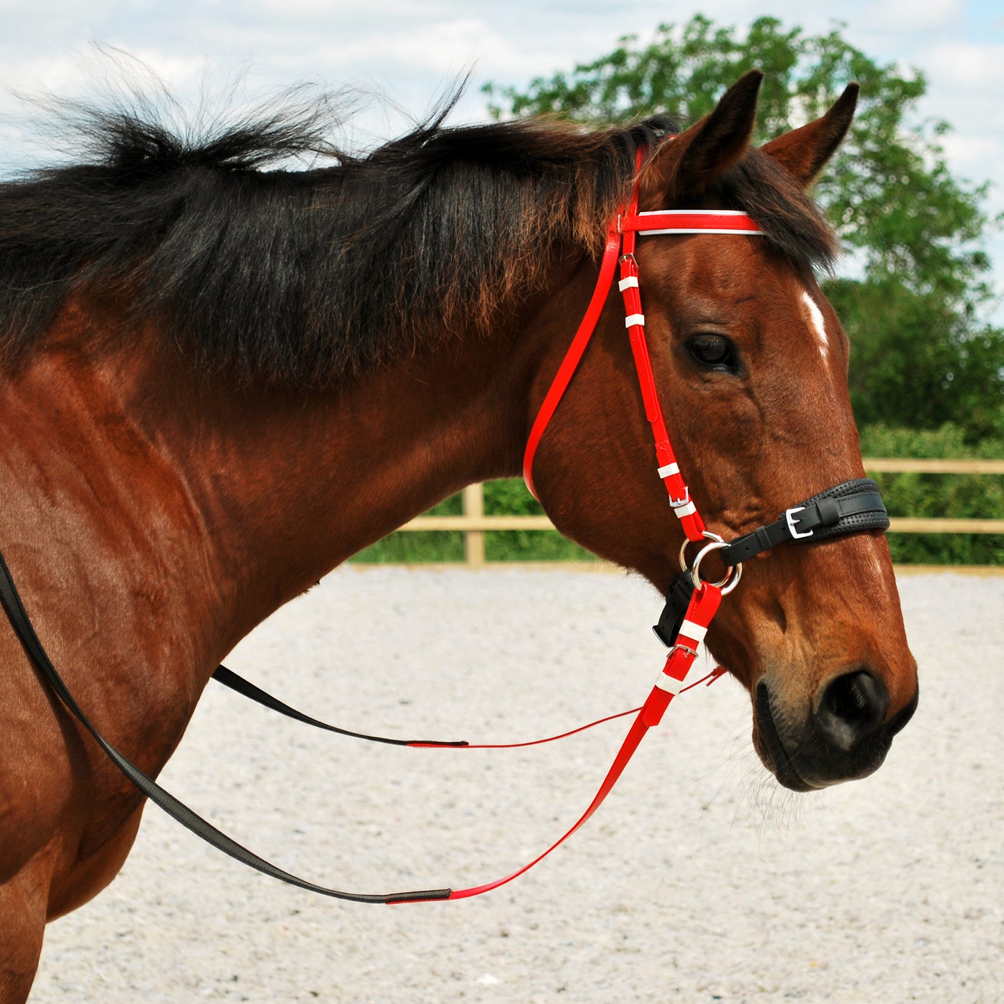 Sidepull noseband (BioThane)