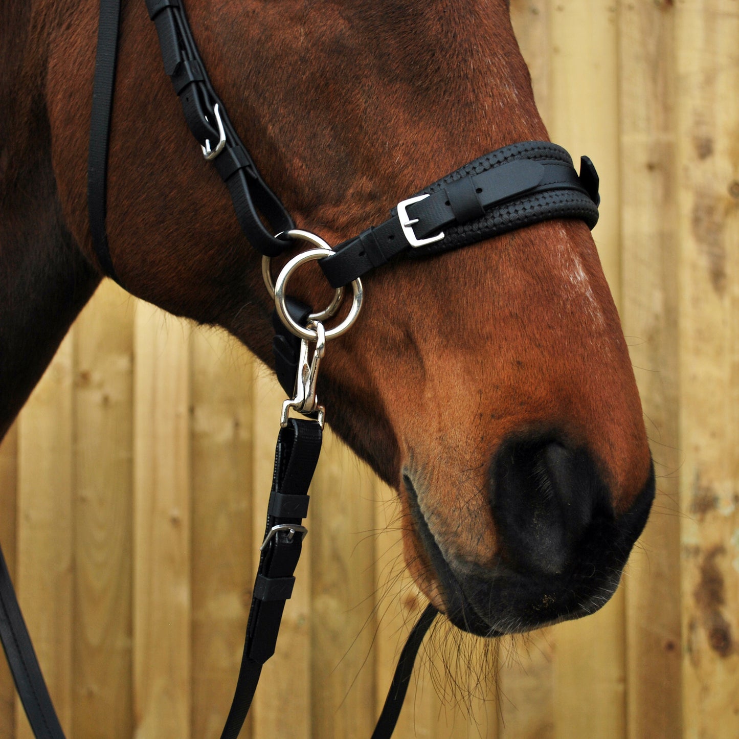 Noseband set (ex-display)