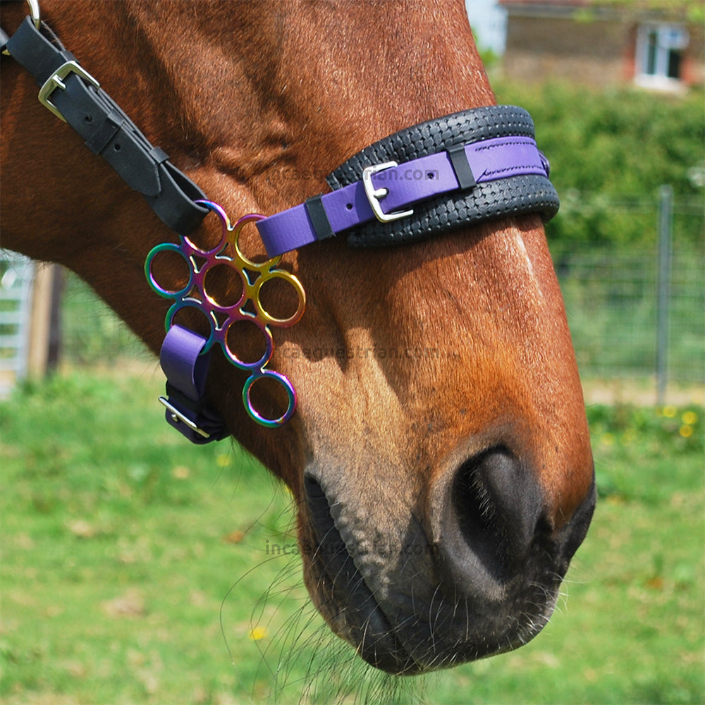 Violet Flower hackamore noseband