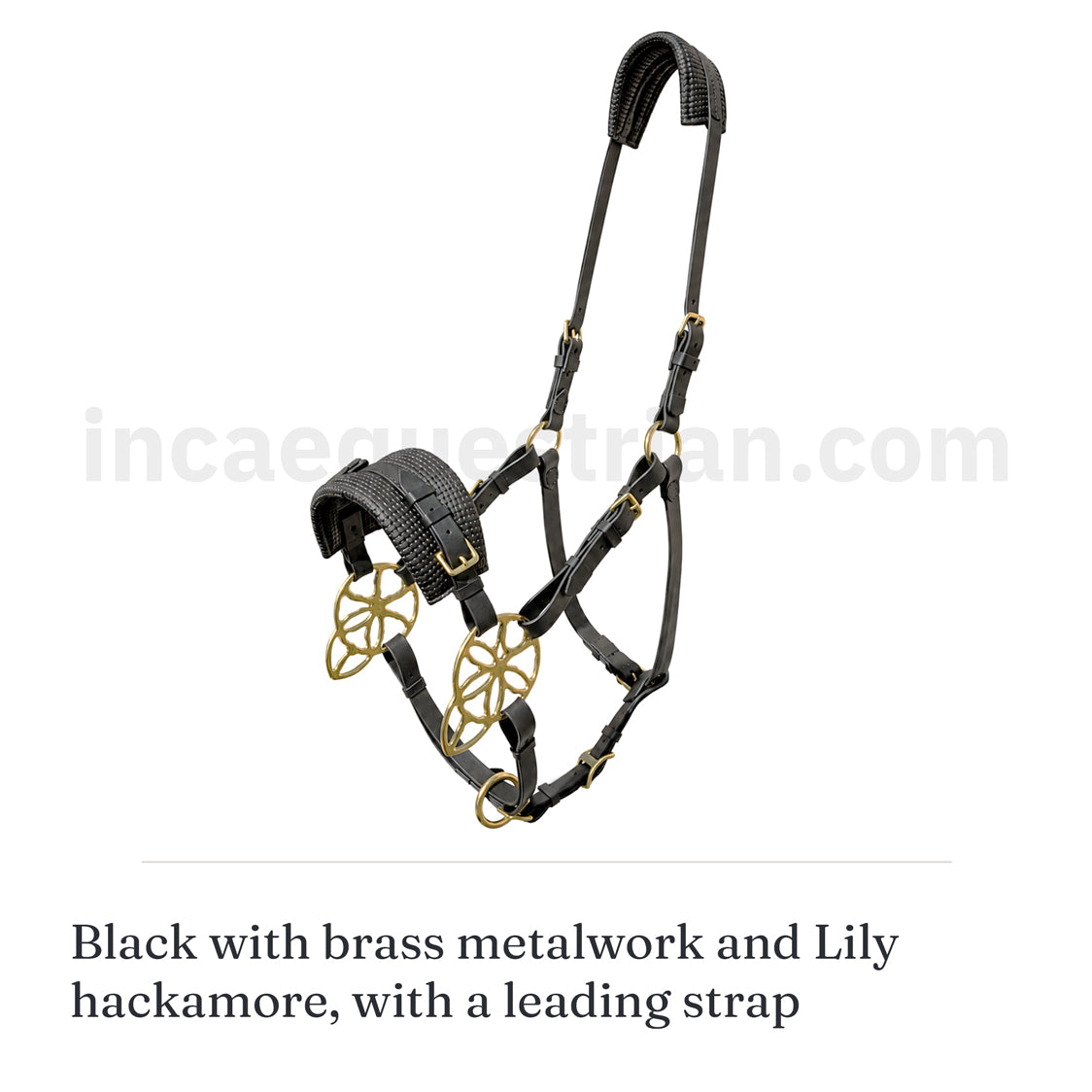 Custom Bitless Bridle