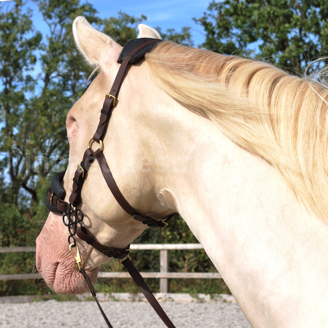 Bitless bridle (custom order)