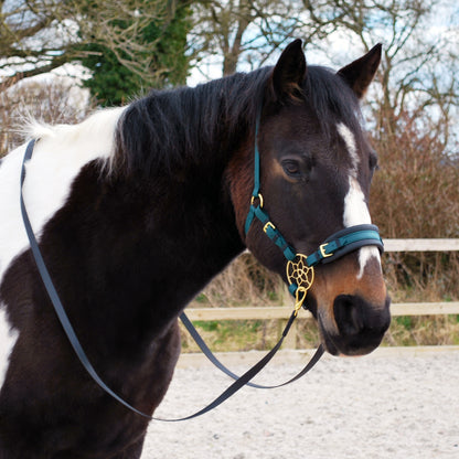 Bitless bridle (custom order)