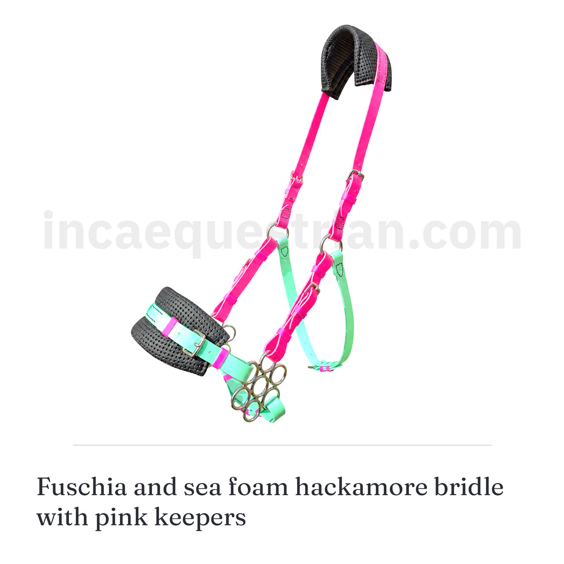 Custom Bitless Bridle