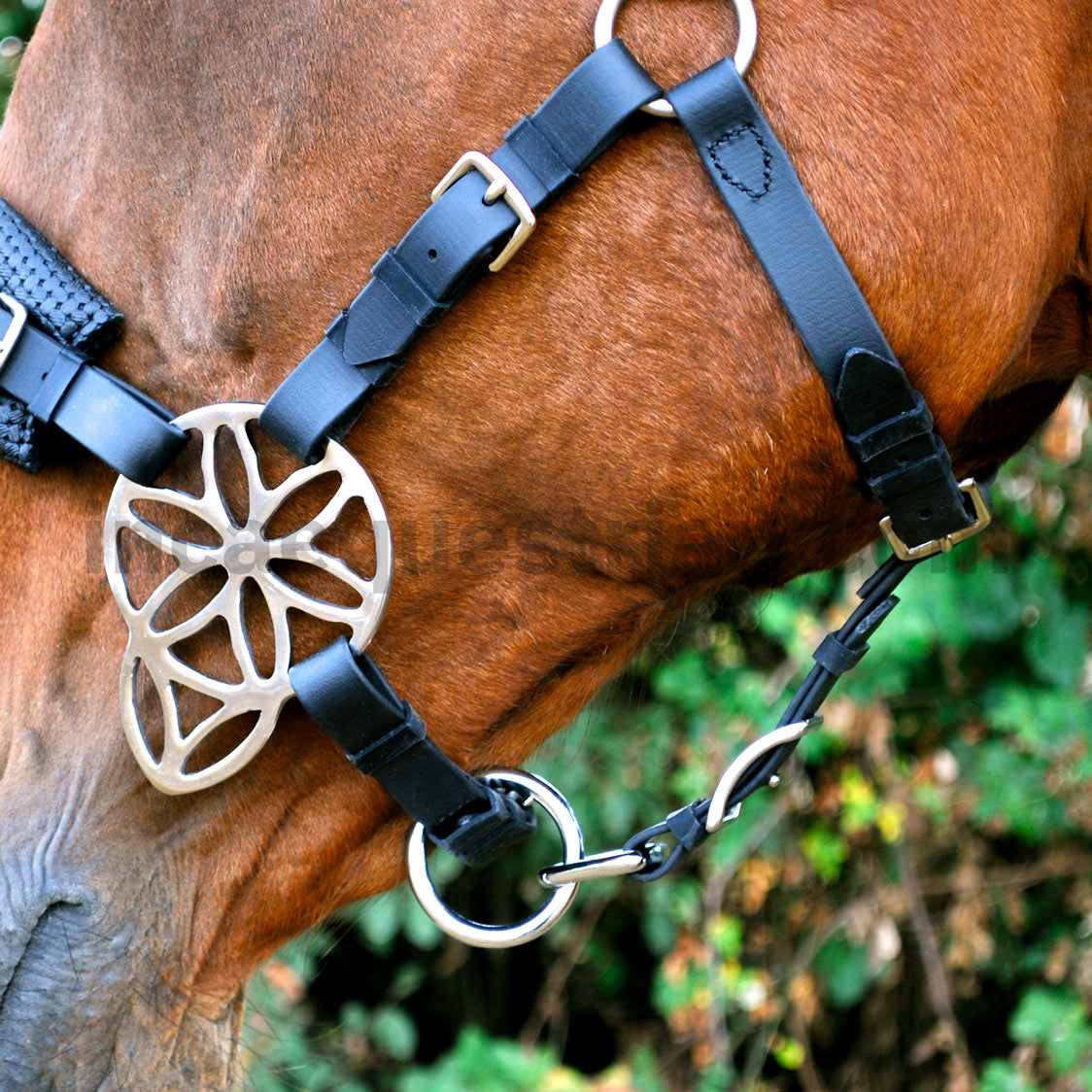 Bridle leading strap attached to bridle noseband, headcollar alternative