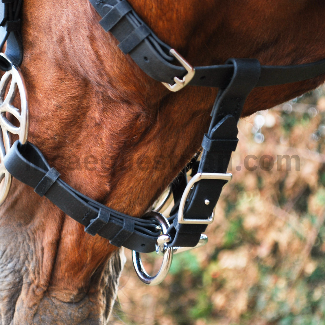 Black BioThane bridle leading strap buckle and ring on horse's jaw
