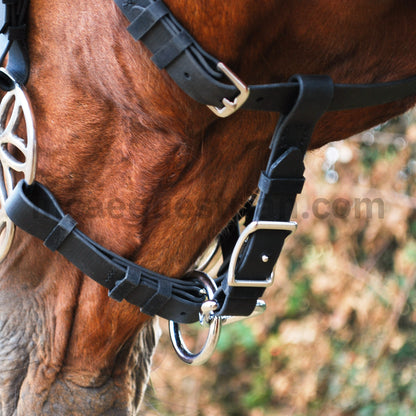 Black BioThane bridle leading strap buckle and ring on horse's jaw