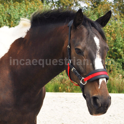 Custom Bitless Bridle