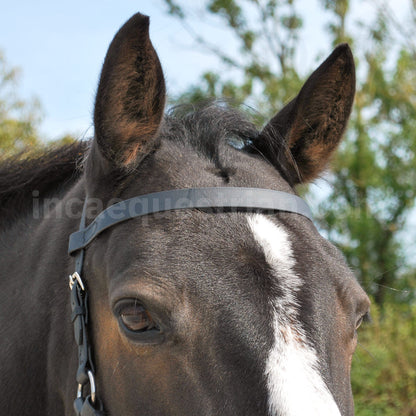 Black BioThane® browband fitted on a horse's head, shown as part of a bitless bridle.