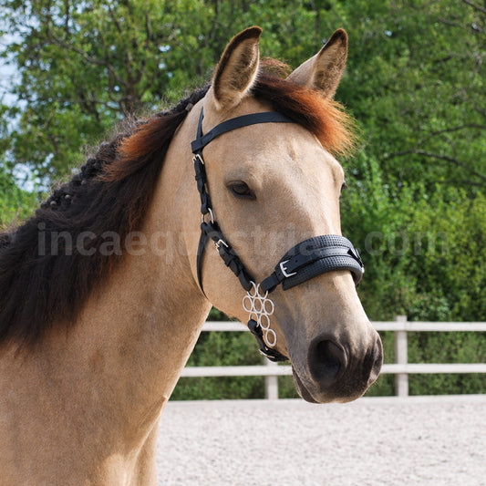 Black BioThane® Flower hackamore bridle with silver Flower hackamore shanks in standard style.
