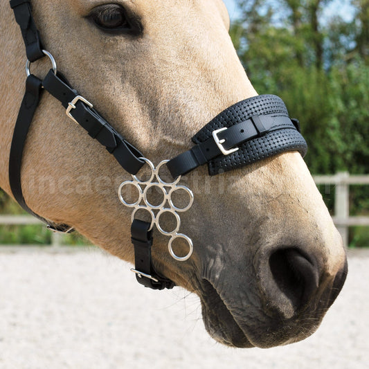 Black BioThane® Flower hackamore noseband, padded and complete with silver Flower hackamore shanks in standard style.