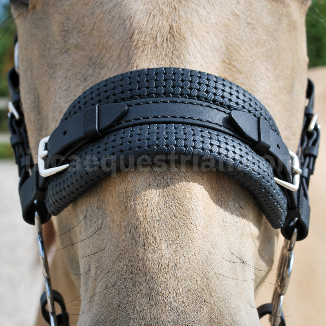 Detail of black BioThane® noseband, showing anatomically shaped, triple-layer padding.