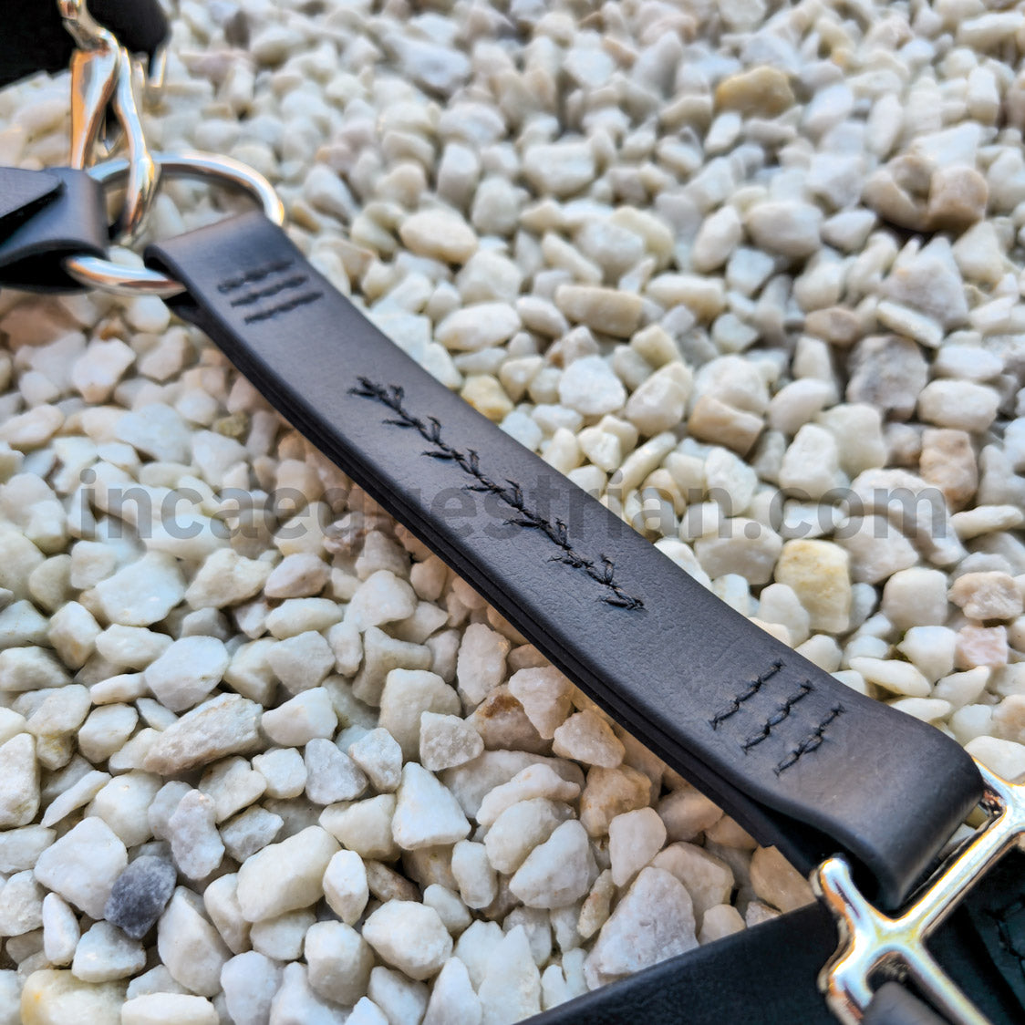 Custom BioThane Headcollar