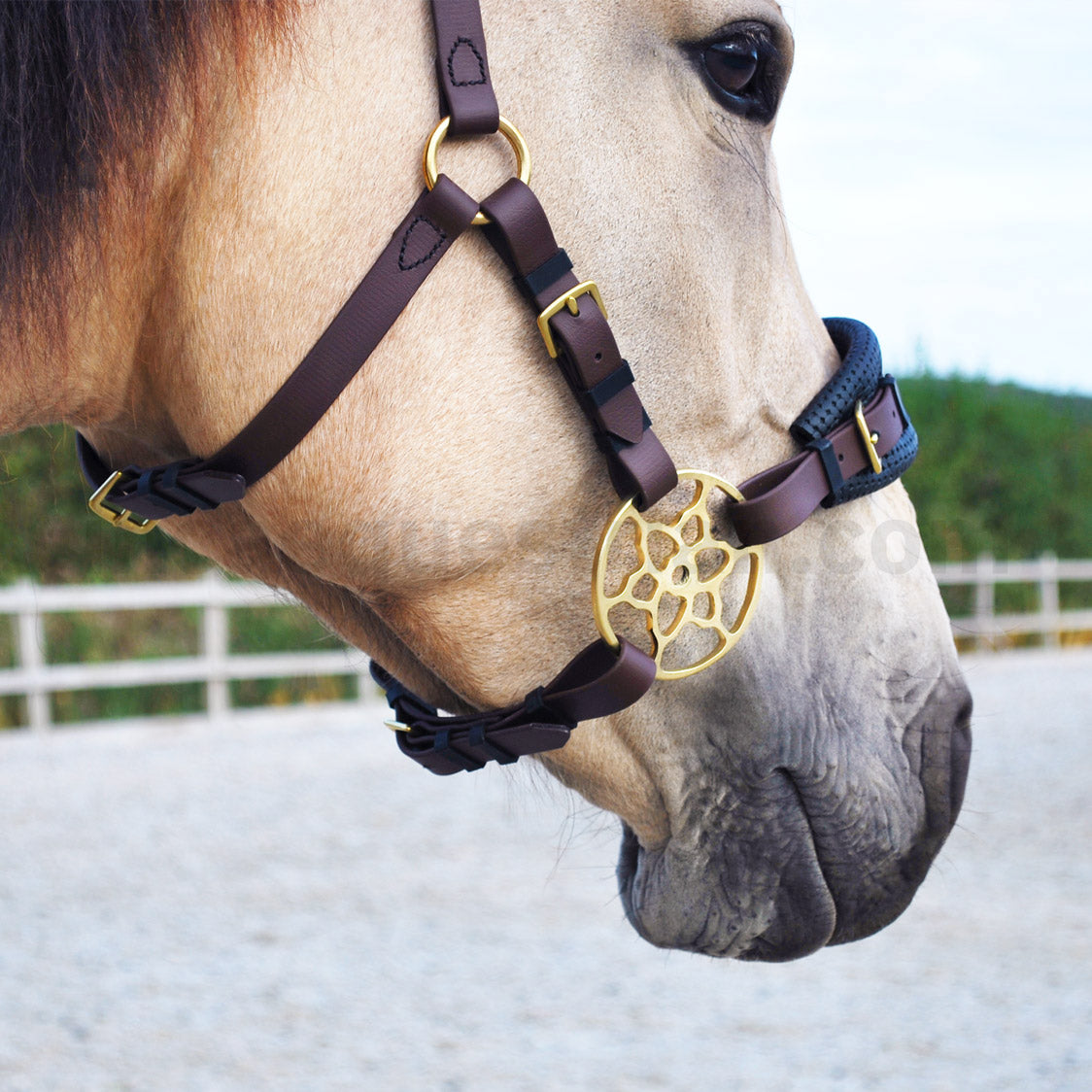 Hackamore Noseband Straps