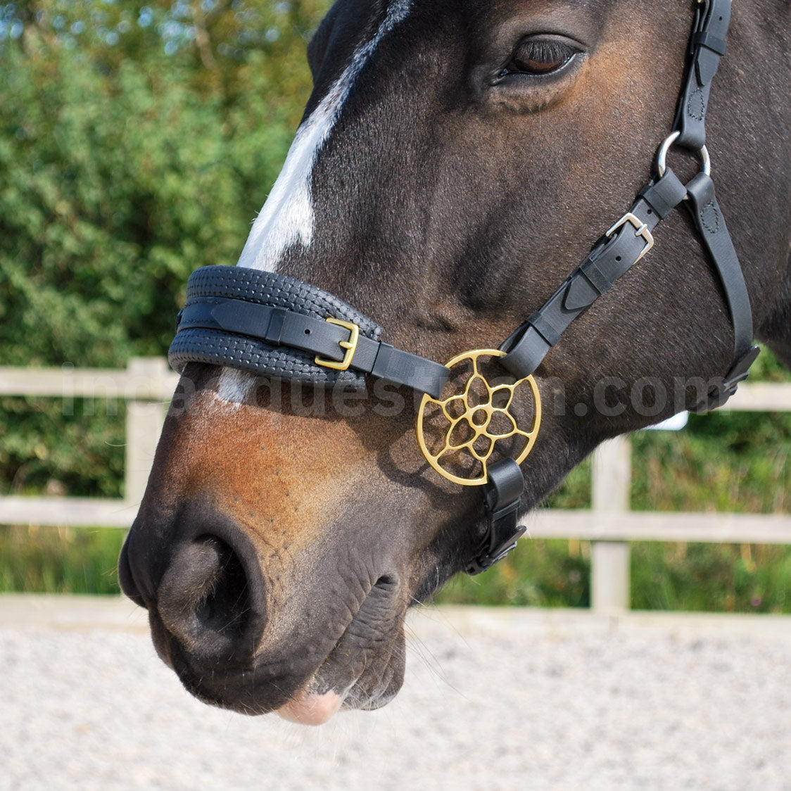 Black BioThane® Jasmine hackamore noseband, padded and complete with brass Jasmine hackamore shanks.
