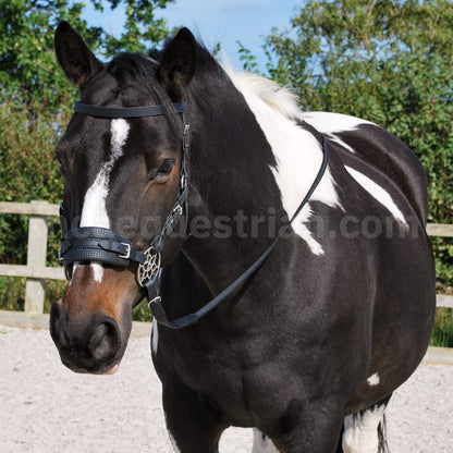 Black BioThane® Jasmine hackamore bridle with silver Jasmine hackamore shanks.