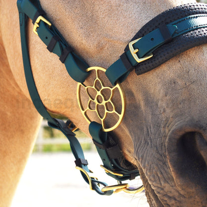Jasmine hackamore noseband in dark green BioThane® with brass flower shank on horse