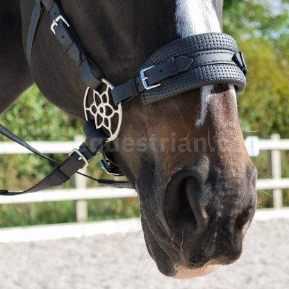 Black BioThane® Jasmine hackamore noseband, padded and complete with silver Jasmine hackamore shanks.