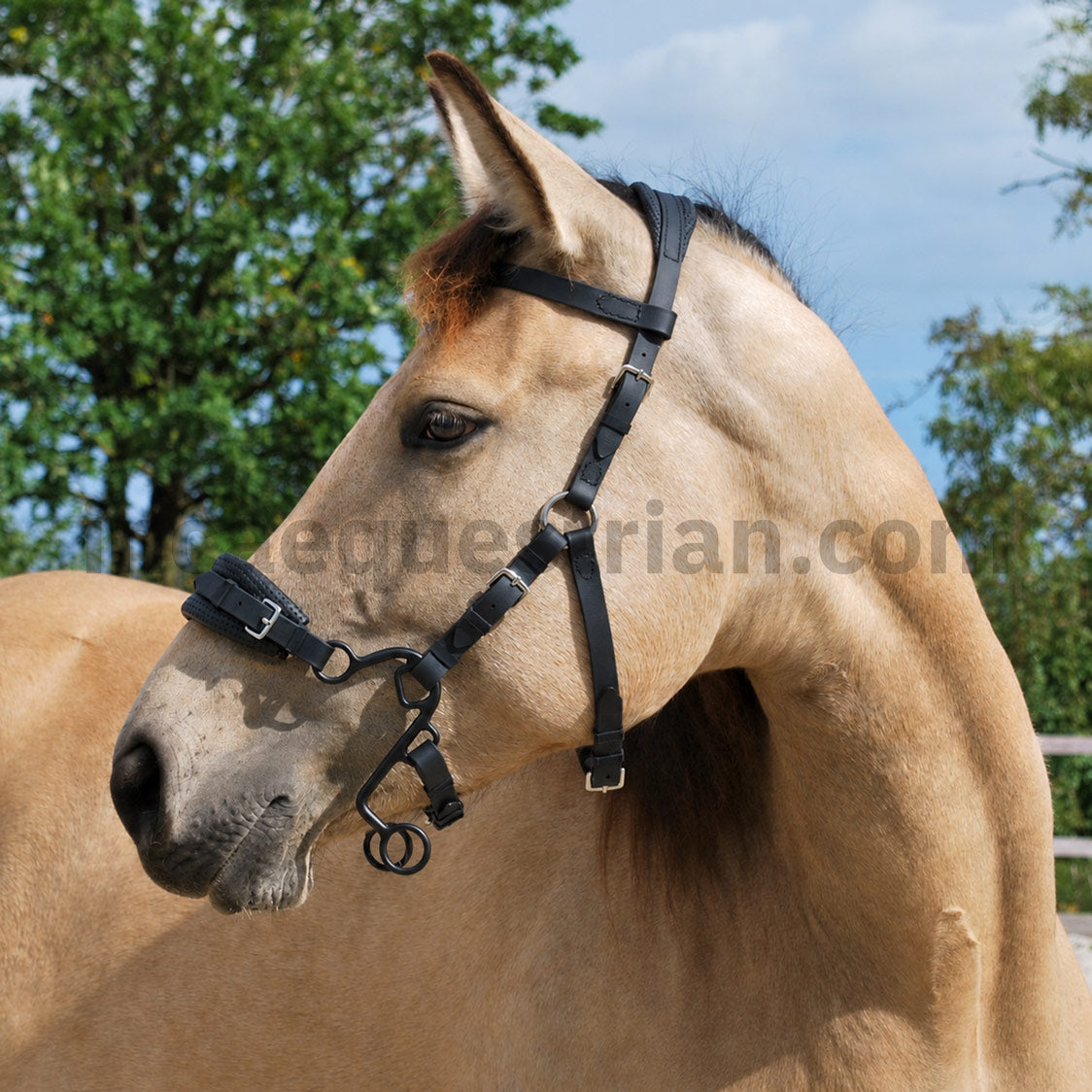 Black BioThane® Little S hackamore bridle with black Little S hackamore shanks.