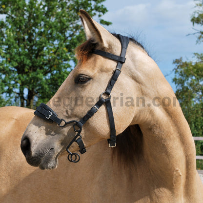 Black BioThane® Little S hackamore bridle with black Little S hackamore shanks.