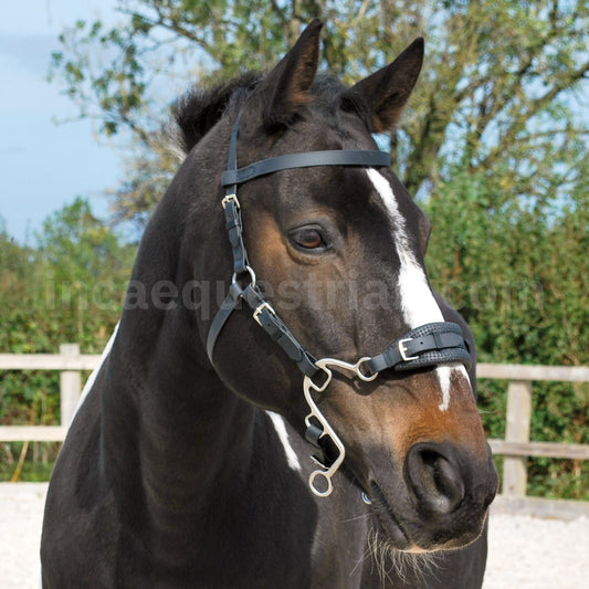 Black BioThane® Little S hackamore bridle fitted on a horse's head, complete with short, silver Little S shanks.