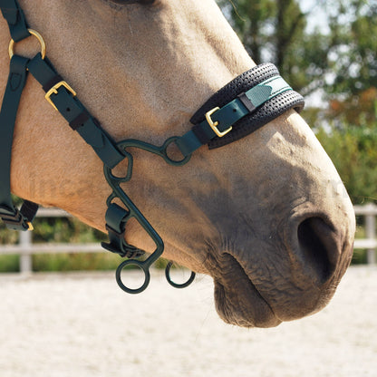 Little S Hackamore Shanks