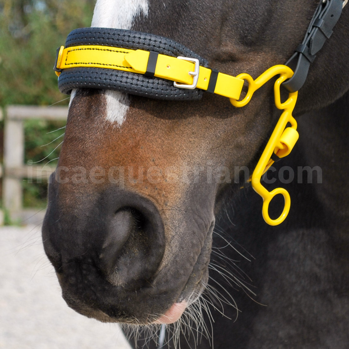 Yellow BioThane® Little S hackamore noseband with black padding, complete with yellow Little S hackamore shanks.