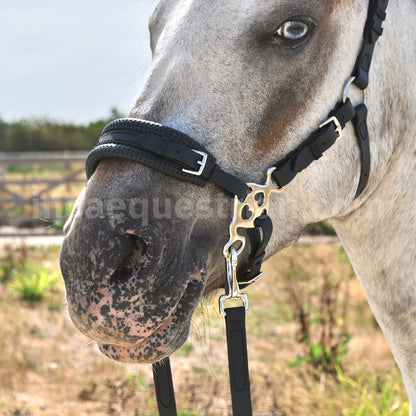 Love hackamore shanks