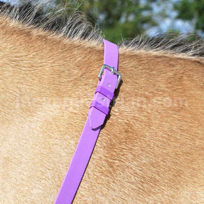 Neck strap