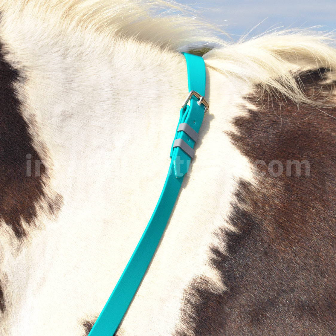 Handmade BioThane neck strap in lagoon blue turquoise worn on a horse's neck, used for extra security while riding, hand-stitched by Inca Equestrian.