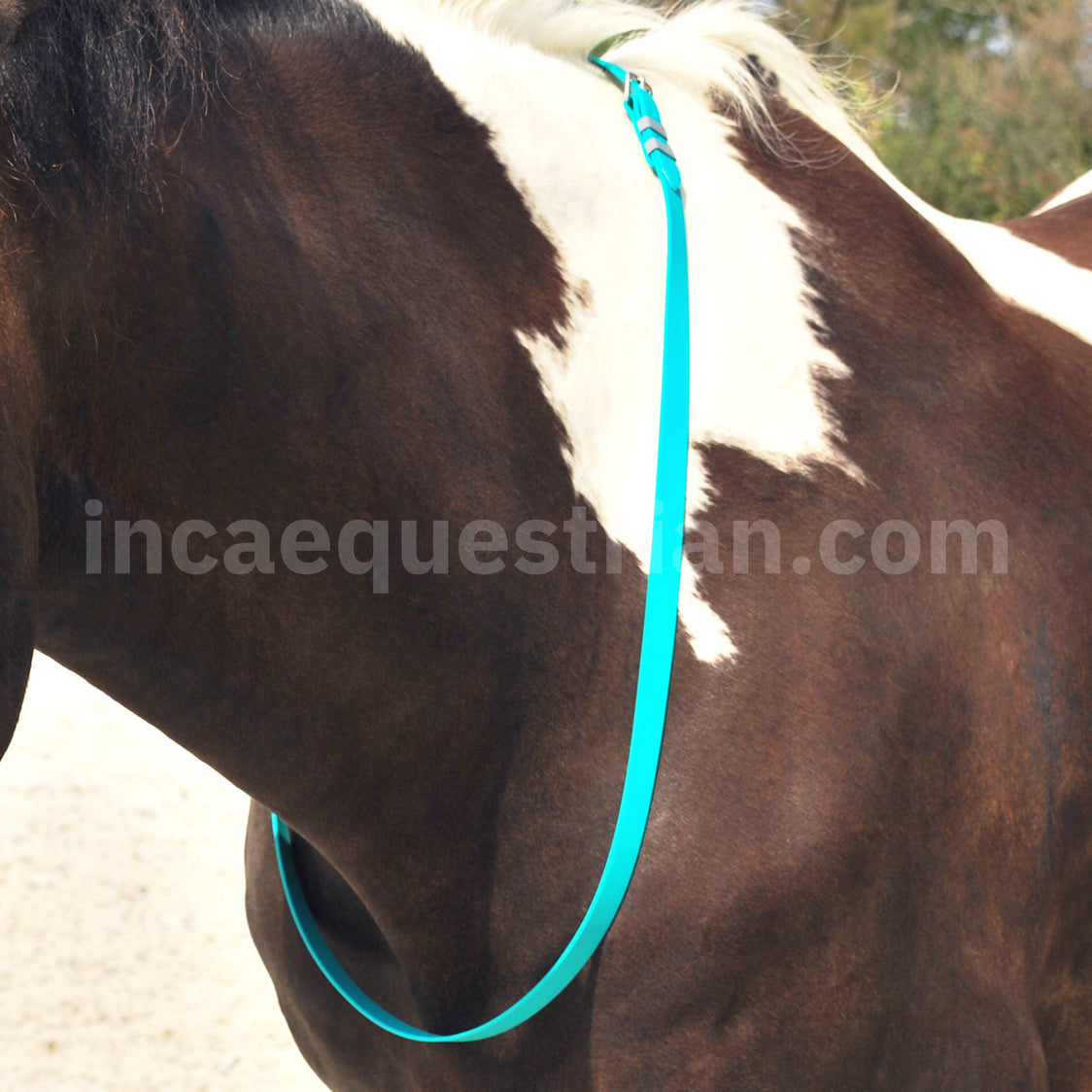 Handmade BioThane neck strap in lagoon blue turquoise worn on a horse's neck, used for extra security while riding, hand-stitched by Inca Equestrian.