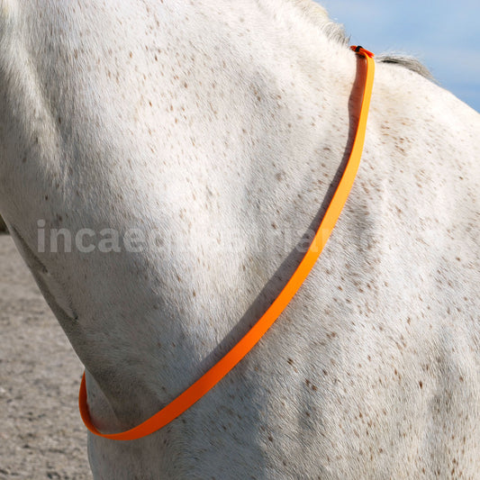 Neck strap