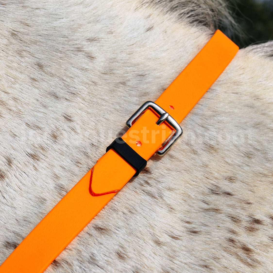 Neck strap