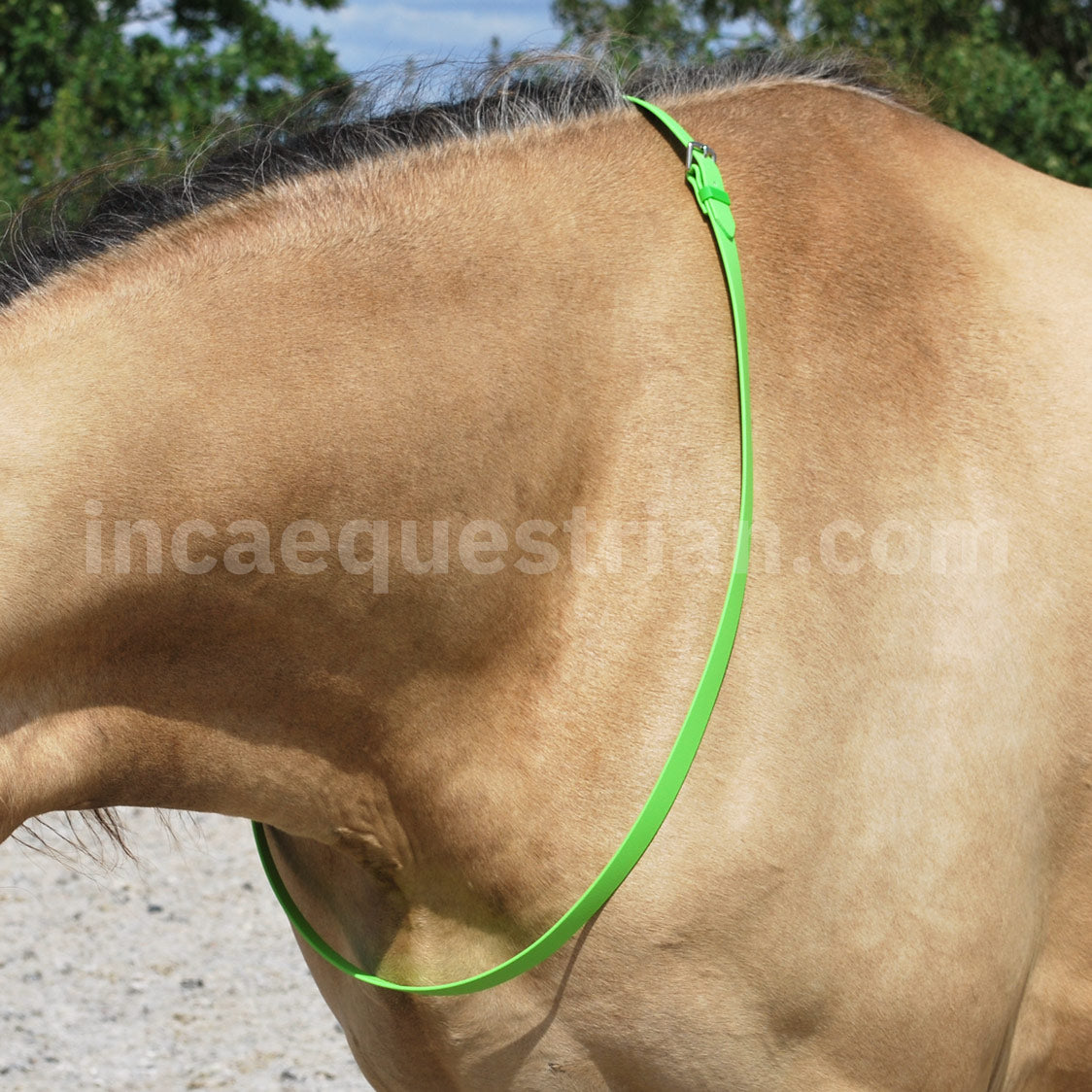 Neck strap