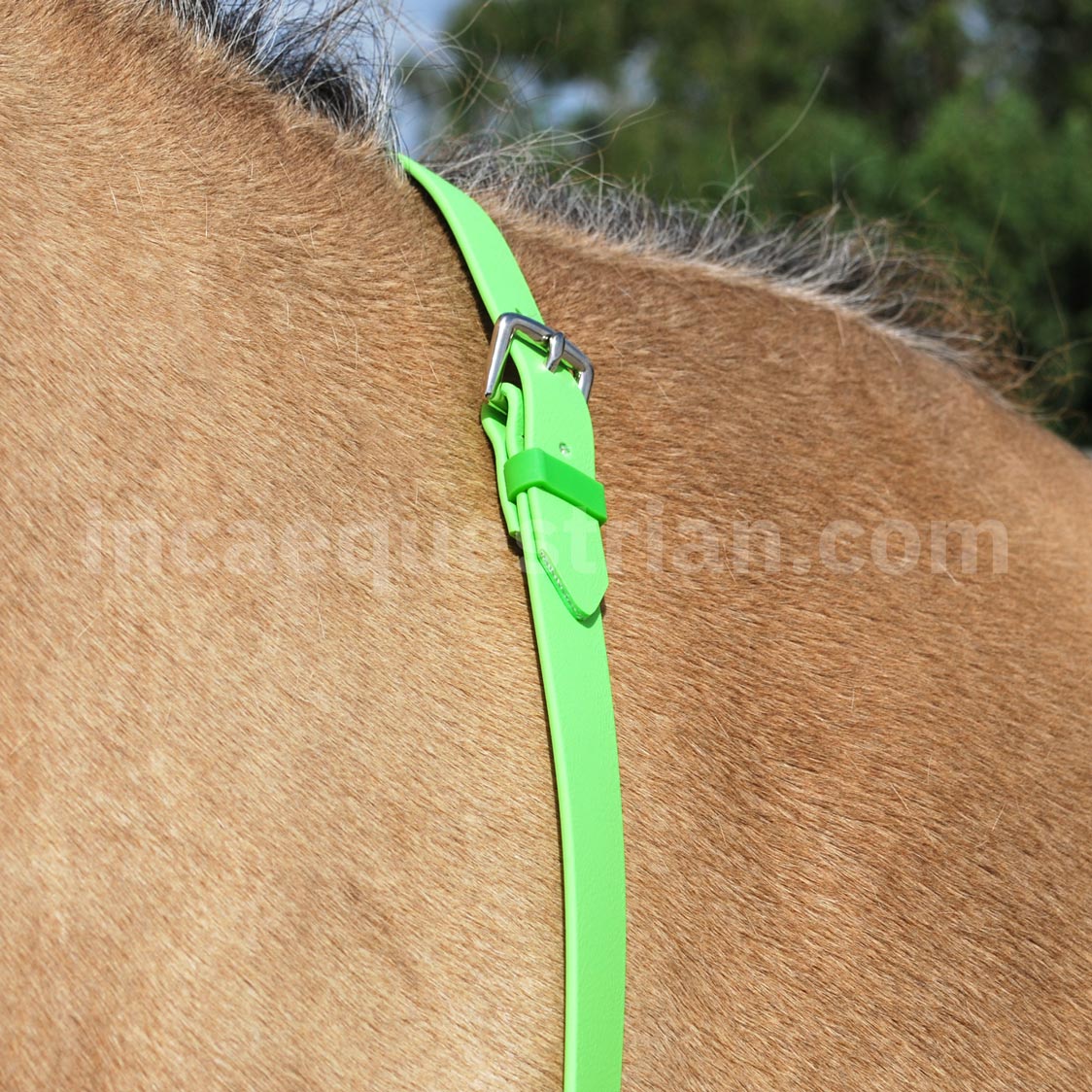Neck strap