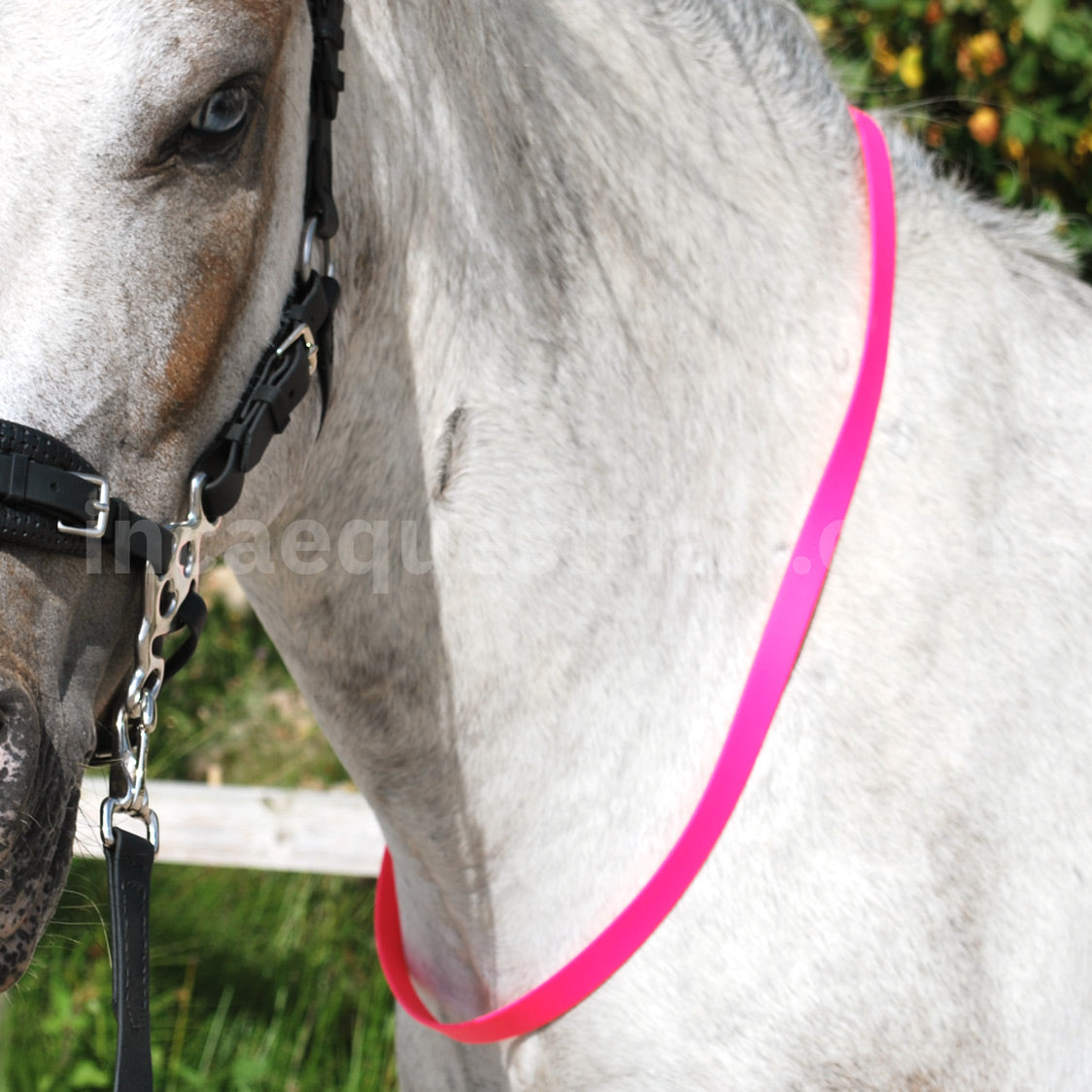 Neck strap
