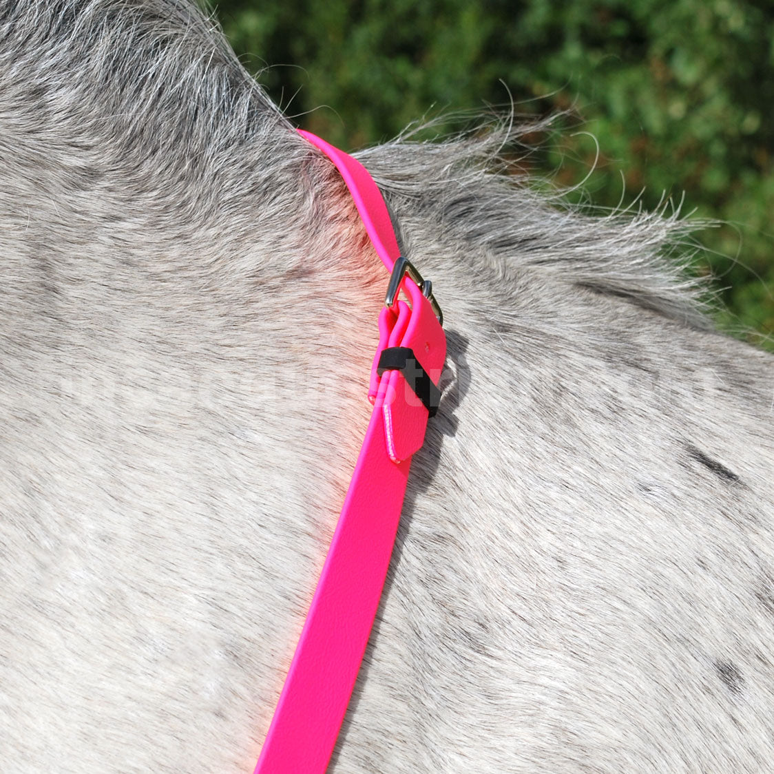 Neck strap