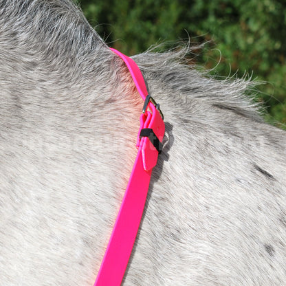 Neck strap
