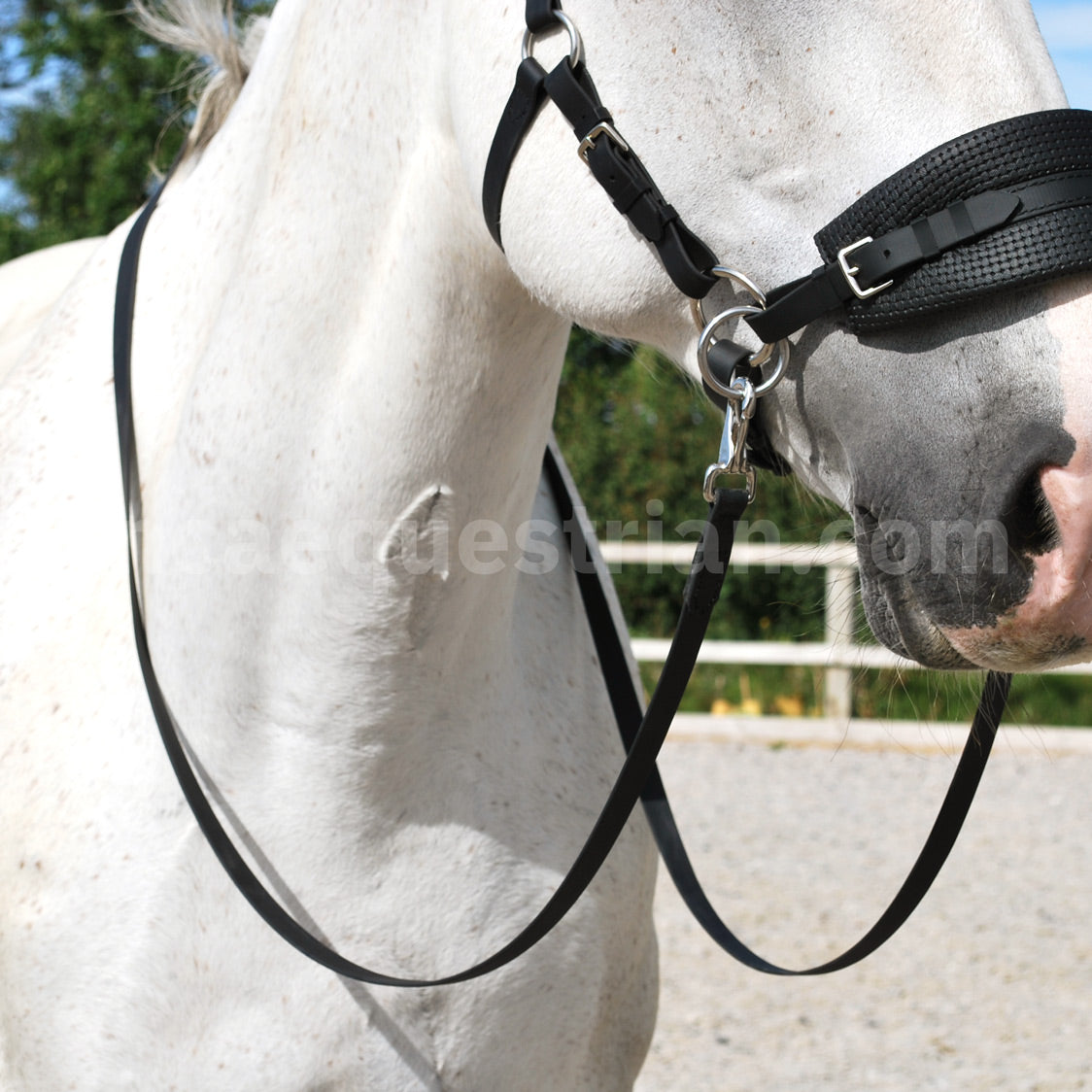 Black BioThane bridle reins with clip ending, attached to bitless bridle on grey horse