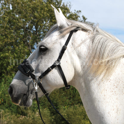 Sidepull bitless bridle