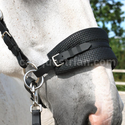 Sidepull bitless bridle