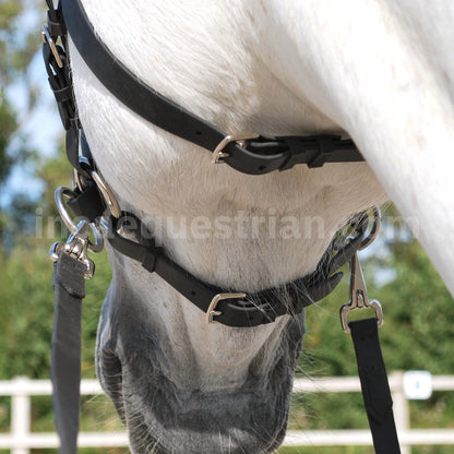 Sidepull bitless bridle