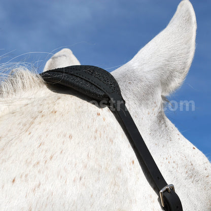 Sidepull bitless bridle