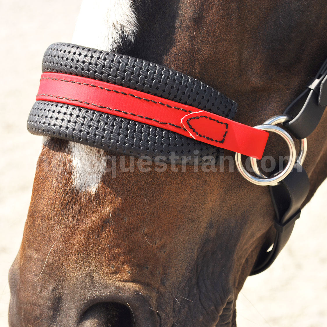 Custom Noseband Set